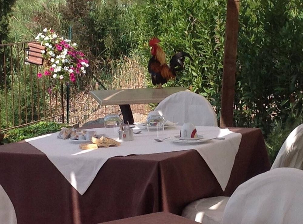 La Locanda Di Ortimino มอนเตสแปร์โตลิ ภายนอก รูปภาพ